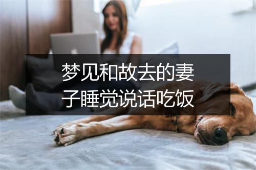 梦见和故去的妻子睡觉说话吃饭