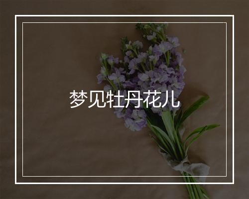 梦见牡丹花儿