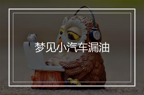 梦见小汽车漏油