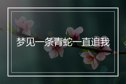 梦见一条青蛇一直追我