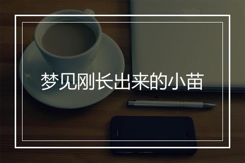 梦见刚长出来的小苗