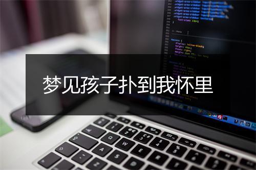 梦见孩子扑到我怀里