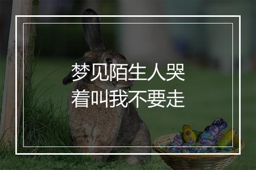 梦见陌生人哭着叫我不要走