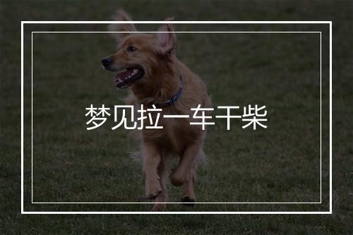 梦见拉一车干柴