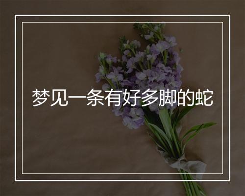 梦见一条有好多脚的蛇