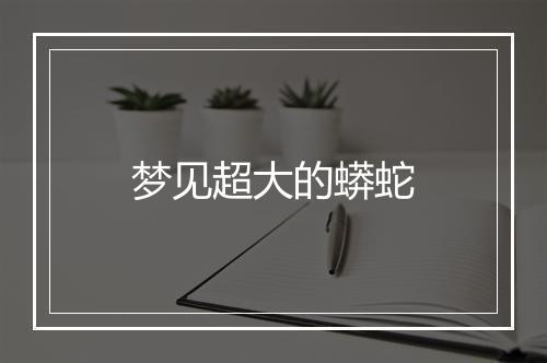 梦见超大的蟒蛇