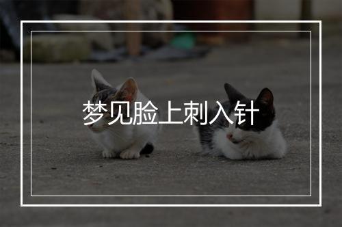 梦见脸上刺入针