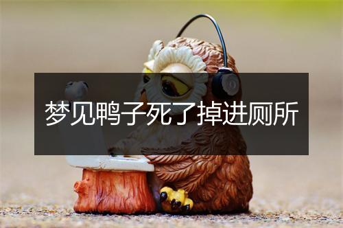 梦见鸭子死了掉进厕所