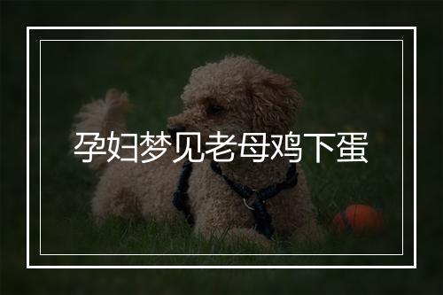 孕妇梦见老母鸡下蛋