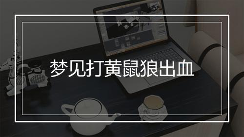 梦见打黄鼠狼出血