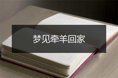 梦见牵羊回家