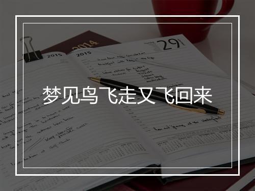 梦见鸟飞走又飞回来