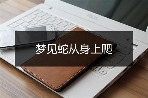 梦见蛇从身上爬