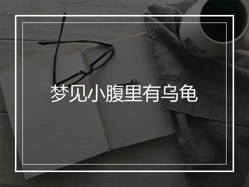 梦见小腹里有乌龟