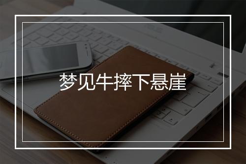 梦见牛摔下悬崖