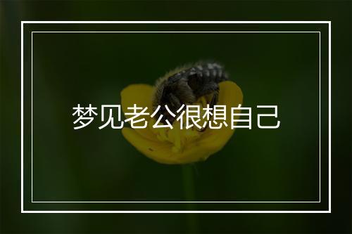 梦见老公很想自己