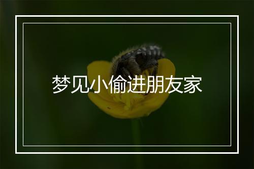 梦见小偷进朋友家