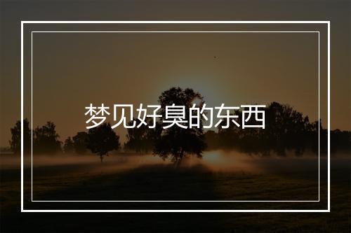 梦见好臭的东西