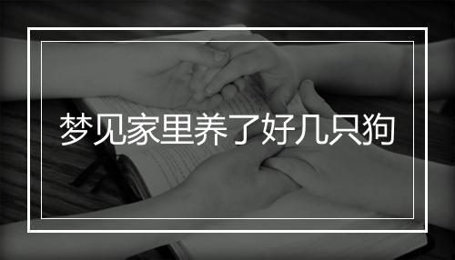 梦见家里养了好几只狗