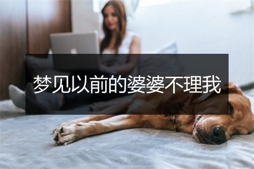 梦见以前的婆婆不理我