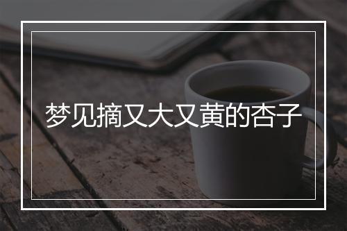 梦见摘又大又黄的杏子