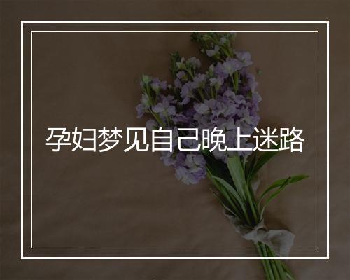 孕妇梦见自己晚上迷路