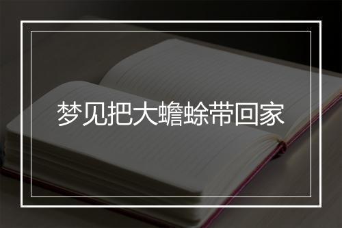 梦见把大蟾蜍带回家