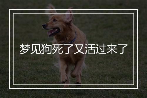 梦见狗死了又活过来了