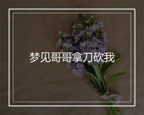 梦见哥哥拿刀砍我