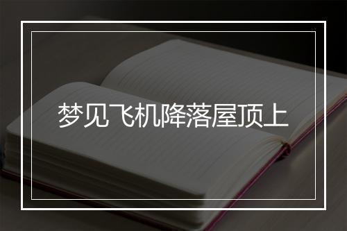 梦见飞机降落屋顶上