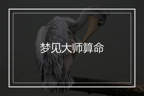 梦见大师算命