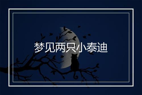 梦见两只小泰迪