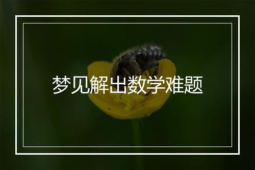 梦见解出数学难题