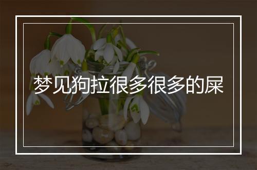 梦见狗拉很多很多的屎