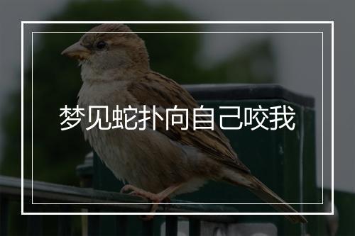 梦见蛇扑向自己咬我