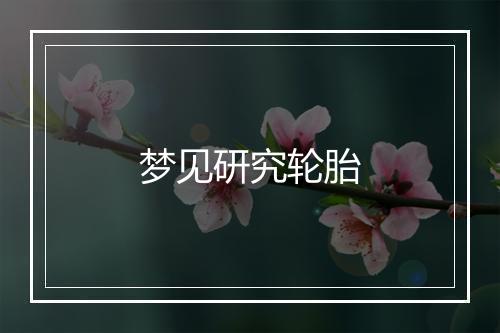 梦见研究轮胎