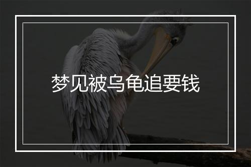 梦见被乌龟追要钱