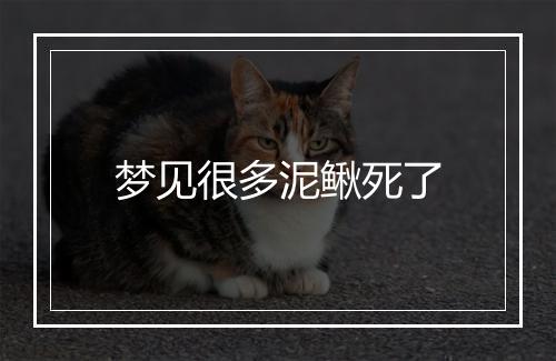 梦见很多泥鳅死了