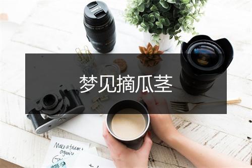 梦见摘瓜茎