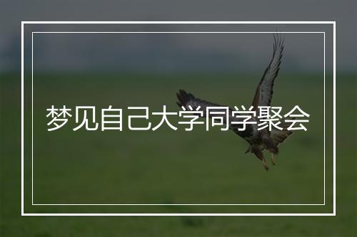 梦见自己大学同学聚会