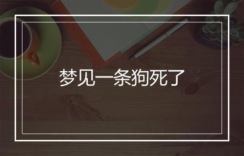 梦见一条狗死了