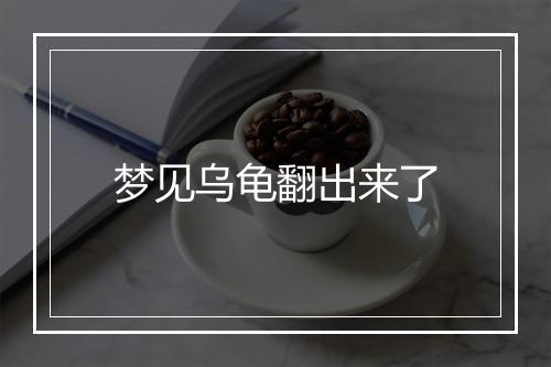 梦见乌龟翻出来了