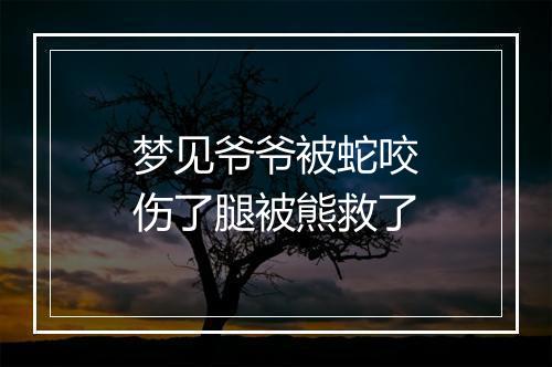 梦见爷爷被蛇咬伤了腿被熊救了