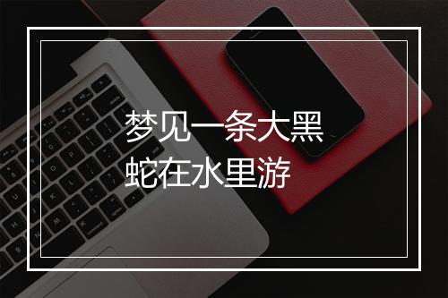 梦见一条大黑蛇在水里游