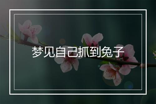 梦见自己抓到兔子