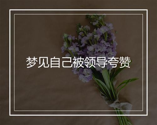 梦见自己被领导夸赞