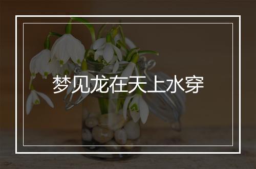 梦见龙在天上水穿