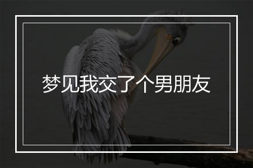 梦见我交了个男朋友