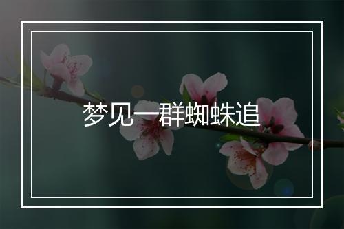 梦见一群蜘蛛追