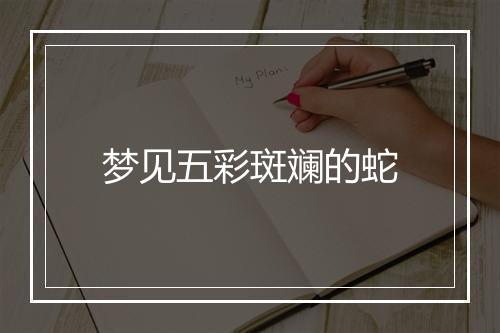 梦见五彩斑斓的蛇